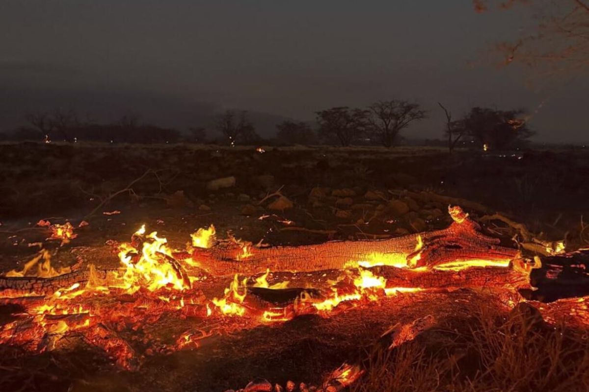 Maui Wildfire Claims 36 Lives