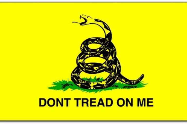 What Is The Gadsden Flag